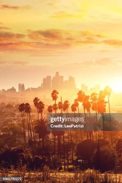 los angeles golden hour cityscape over downtown skyscrapers - downtown la stock pictures, royalty-free photos & images