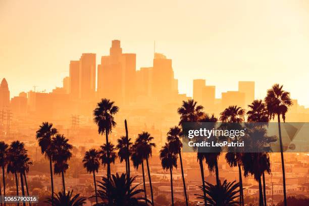 los angeles golden hour cityscape over downtown skyscrapers - skyline imagens e fotografias de stock