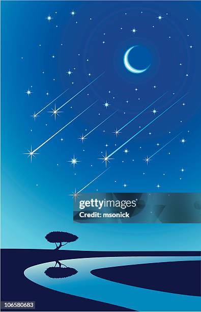 stockillustraties, clipart, cartoons en iconen met meteor rain - lichtspoor ster