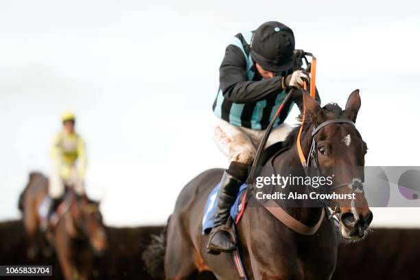 Noel Fehily riding Bags Groove clear the last to win The Jockey Club Ownership Syndicate 'Rising Stars' Novices' Chase at Wincanton Racecourse on...