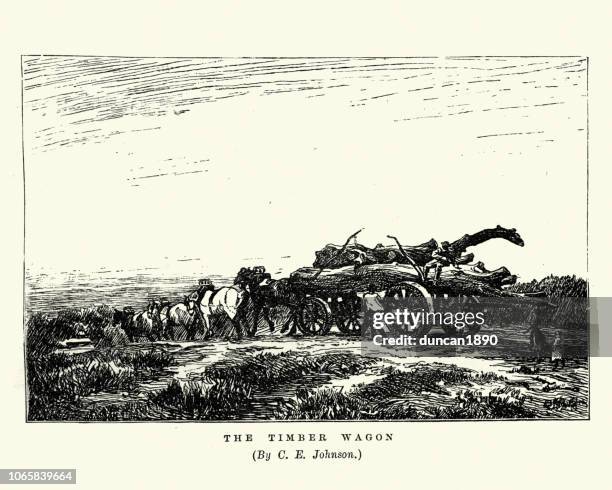 die holz-wagen, victorian, 1870er-jahre - zugpferd stock-grafiken, -clipart, -cartoons und -symbole