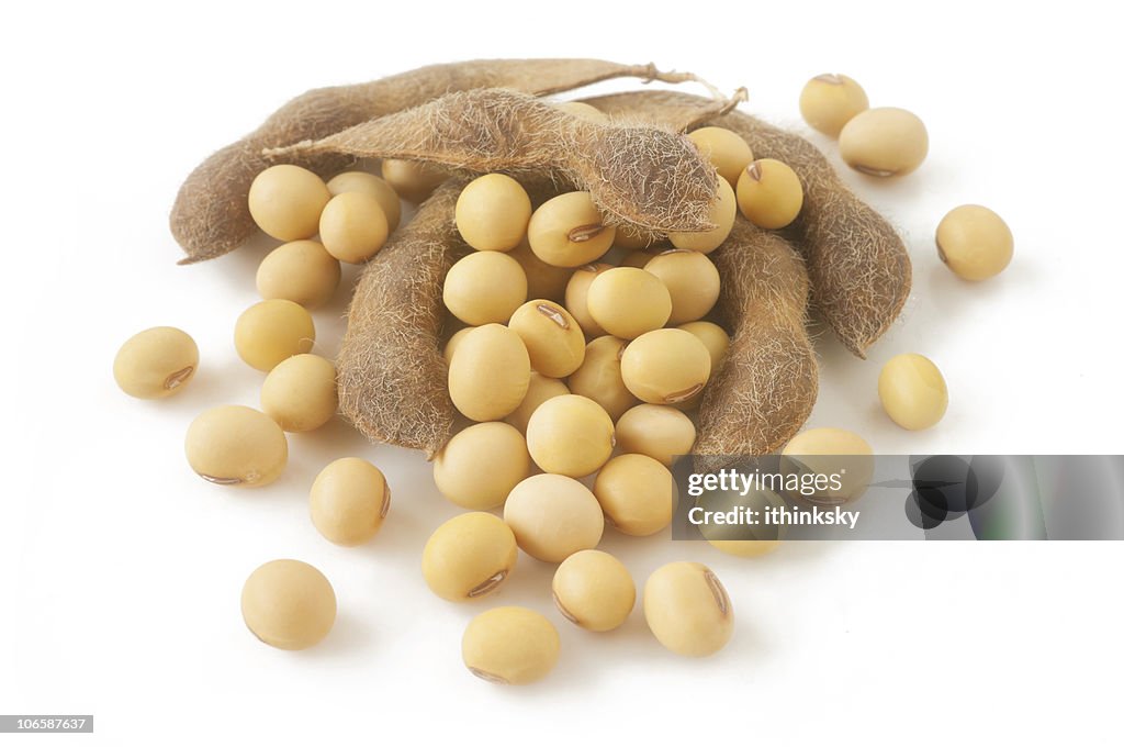 Soybean