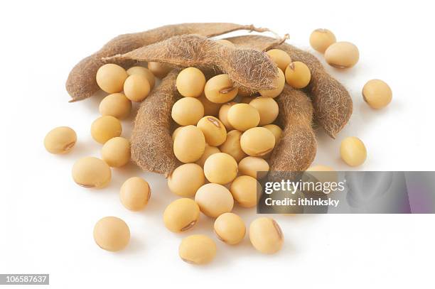 soybean - plant pod stock pictures, royalty-free photos & images