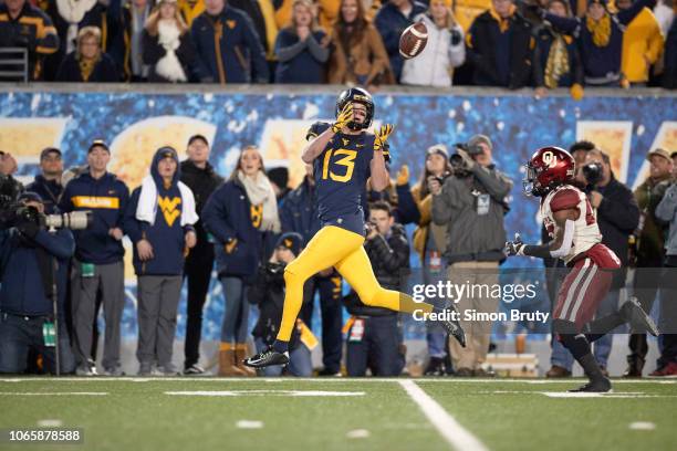 West Virginia David Sills V in action, making catch vs Oklahoma at Mountaineer Field at Milan Puskar Stadium. Morgantown, WV CREDIT: Simon Bruty