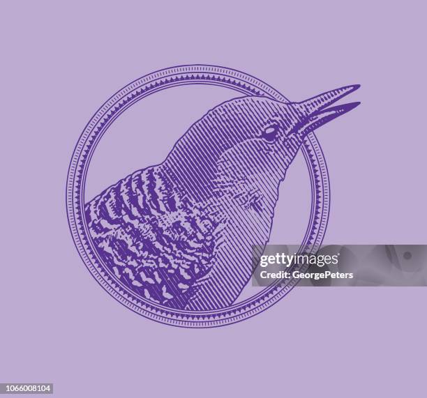 red bellied woodpecker in a circle frame design element - red bellied woodpecker stock illustrations