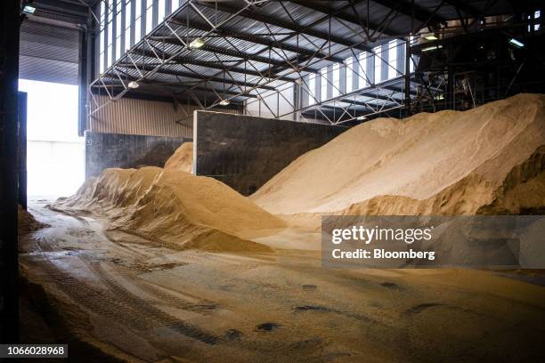 Grain to be used for cattle feed stands in a pile in a silo inside the feedmill at the Karan Beef Ltd. Feedlot in Heidelberg, outside Johannesburg,...