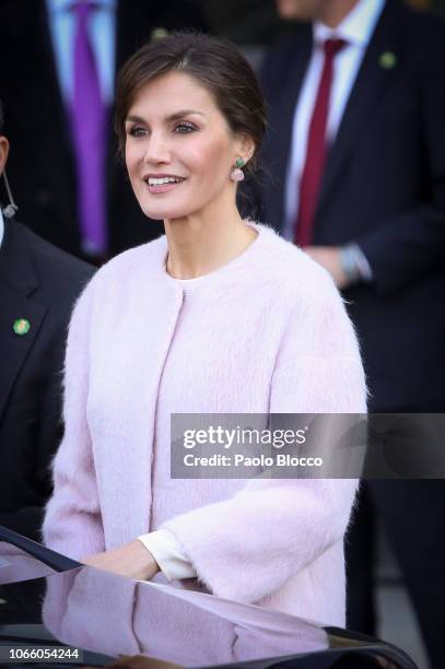 Queen Letizia of Spain visits the Royal Theatre on November 28, 2018 in Madrid, Spain.