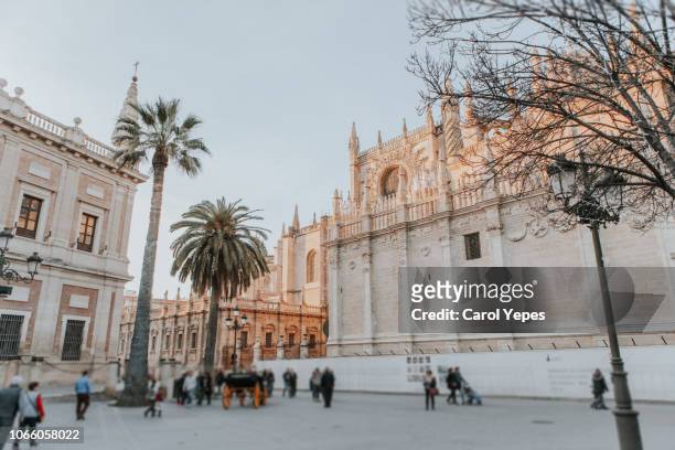 cathedral of saint mary of the see with tourists, seville, spain - アルカサル城塞 ストックフォトと画像