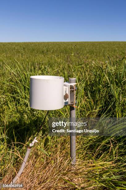 rain gauge on a cereal field - pluviômetro - fotografias e filmes do acervo