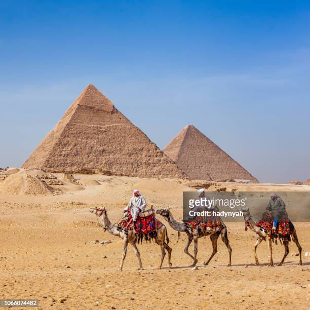 beduini e piramidi - piramide foto e immagini stock