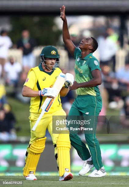 Lungi Ngidi of South Africa celebrates after taking the wicket of Aaron Finch of Australia during game three of the One Day International series...
