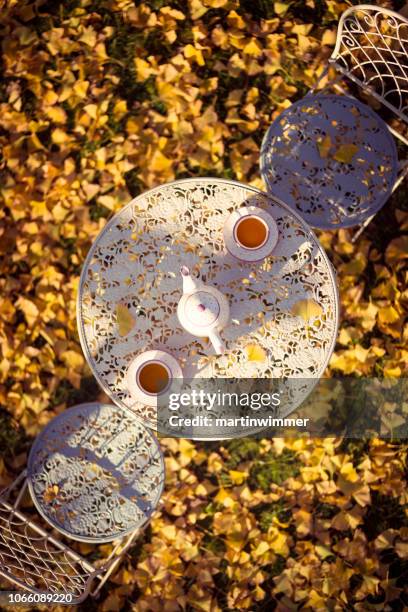 tea-time unter einem ginkgobaum im herbst - tea cup stock-fotos und bilder