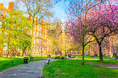 View of the sackville gardens next to the shena slmon campus in Manchester, England