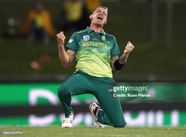 Dale Steyn of South Africa celebrates after taking the wicket of Alex Carey of Australia during game three of the One Day International series...