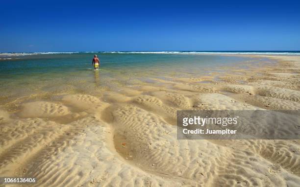 hombre joven solitario de espaldas cruza andando una laguna a pie en una playa desierta - hombre joven stock pictures, royalty-free photos & images
