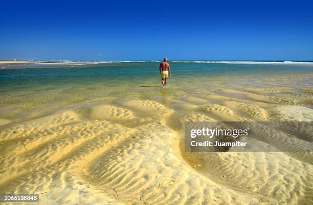 hombre joven solitario de espaldas cruza andando una laguna a pie en una playa desierta - hombre joven stock pictures, royalty-free photos & images