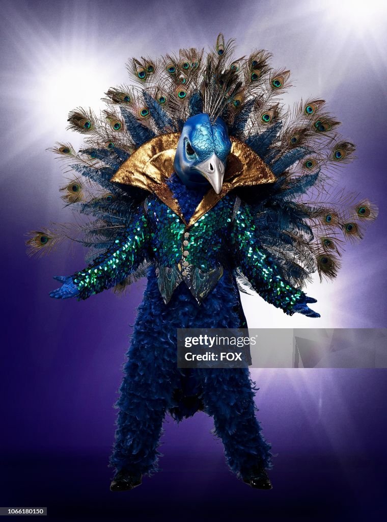 FOX's "The Masked Singer" Season One - Gallery