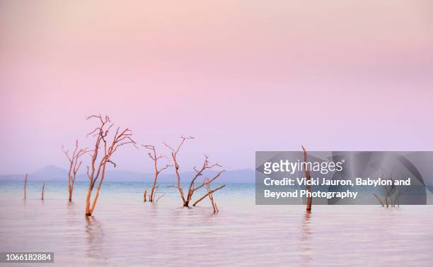 beautiful colors and light at sunrise on lake kariba - zimbabwe fotografías e imágenes de stock