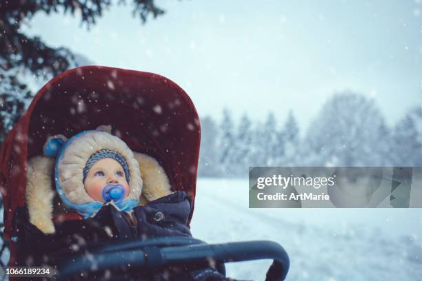 jongetje in de wandelwagen in winter park - winter baby stockfoto's en -beelden