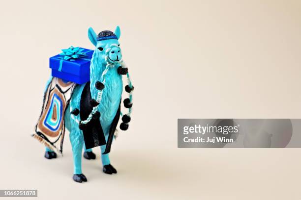 llama with gift box - lama stockfoto's en -beelden