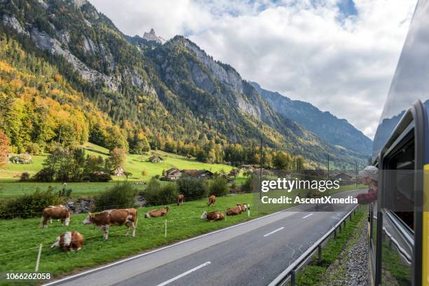 femme regarde par la fenêtre des entraîneur de rail, sur le chemin de fer en mouvement - alpes suisses photos et images de collection
