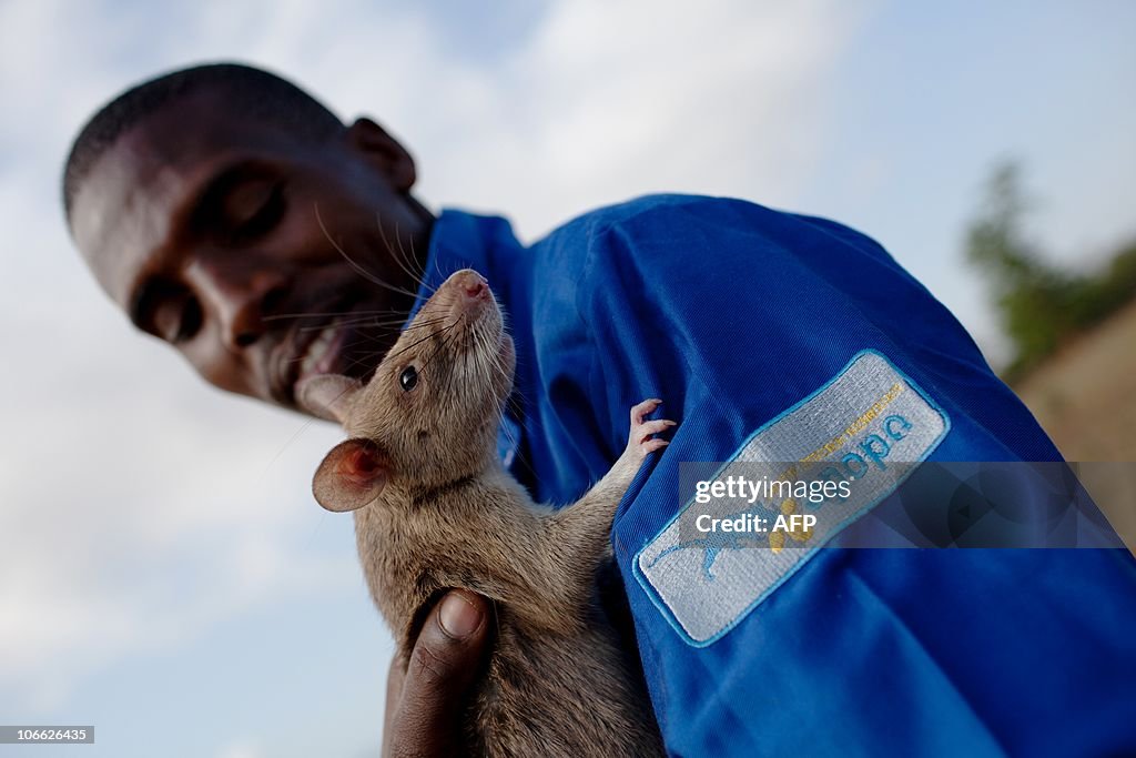 TO GO WITH AFP STORY BY Otto Bakano - A
