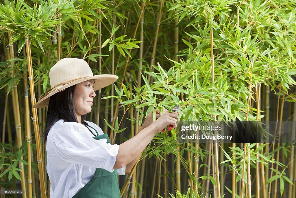 Asian Woman gardening