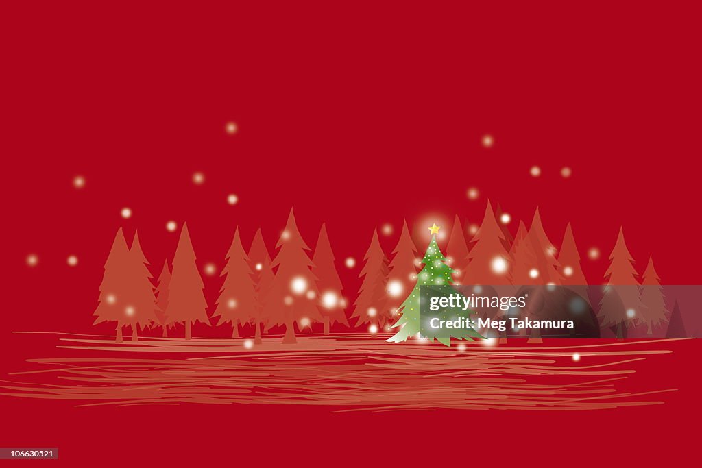 Christmas tree in a snowy dark forest