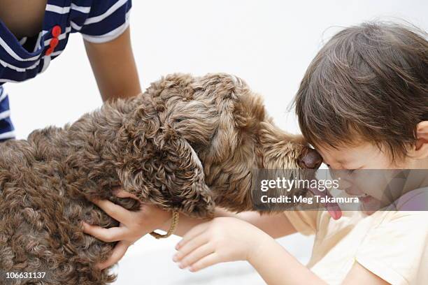 boy and his sister playing with a dog - girls licking girls fotografías e imágenes de stock