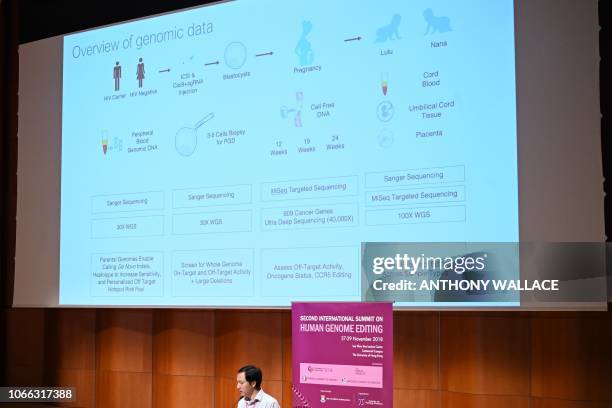 In this picture taken on November 28 Chinese scientist He Jiankui shows a slide on a screen as he speaks at the Second International Summit on Human...