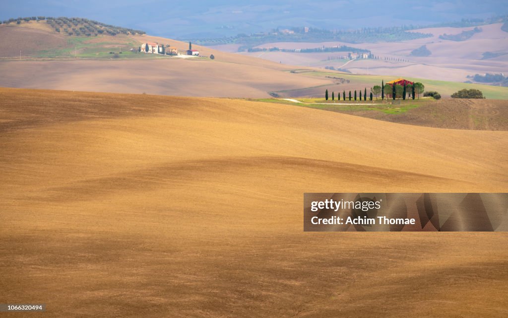 Autumn in Tuscany / Val D'Orcia / Italy