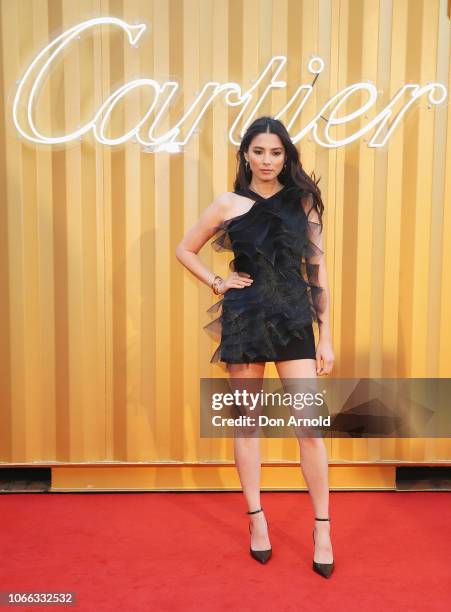 Jessica Gomes attends the Cartier Precious Garage Party on November 29, 2018 in Sydney, Australia.