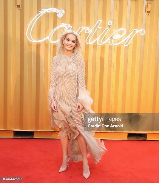 Rita Ora attends the Cartier Precious Garage Party on November 29, 2018 in Sydney, Australia.
