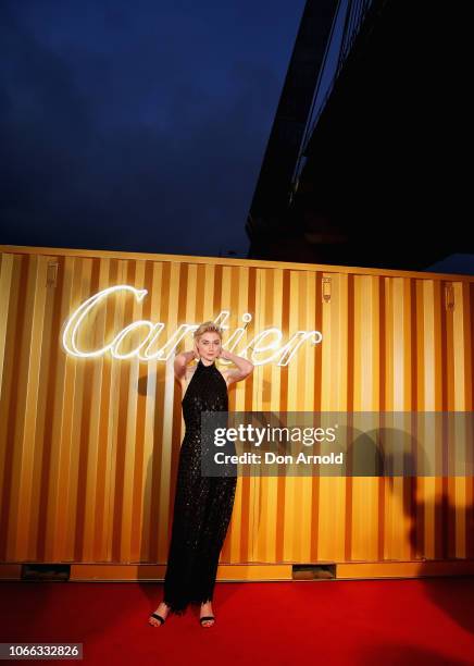 Elizabeth Debicki attends the Cartier Precious Garage Party on November 29, 2018 in Sydney, Australia.