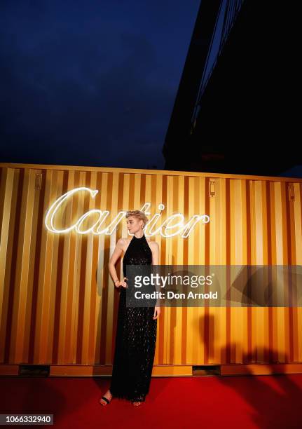 Elizabeth Debicki attends the Cartier Precious Garage Party on November 29, 2018 in Sydney, Australia.
