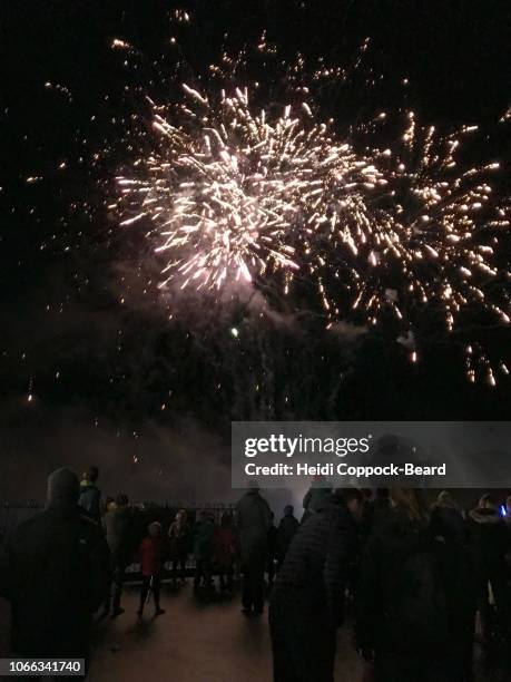 bonfire night - heidi coppock beard stock pictures, royalty-free photos & images