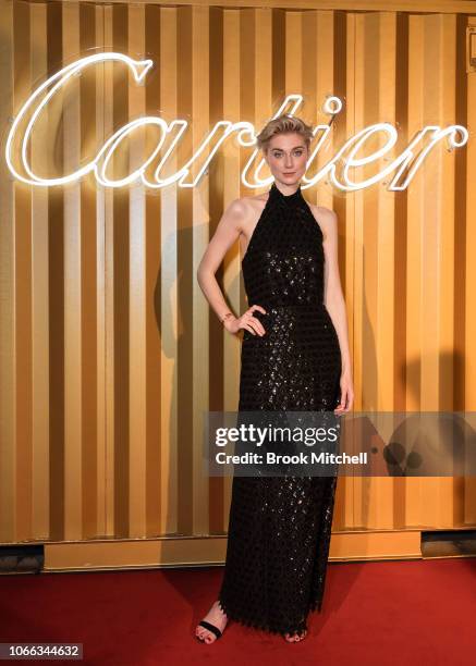 Elizabeth Debicki attends the Cartier Precious Garage Party on November 29, 2018 in Sydney, Australia.