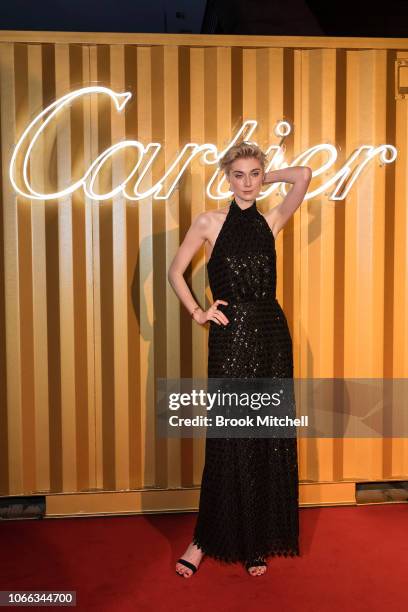 Elizabeth Debicki attends the Cartier Precious Garage Party on November 29, 2018 in Sydney, Australia.