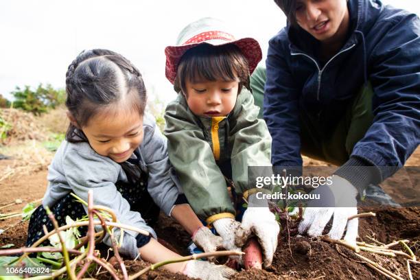 vater und kinder graben pflanzen - father and children volunteering stock-fotos und bilder