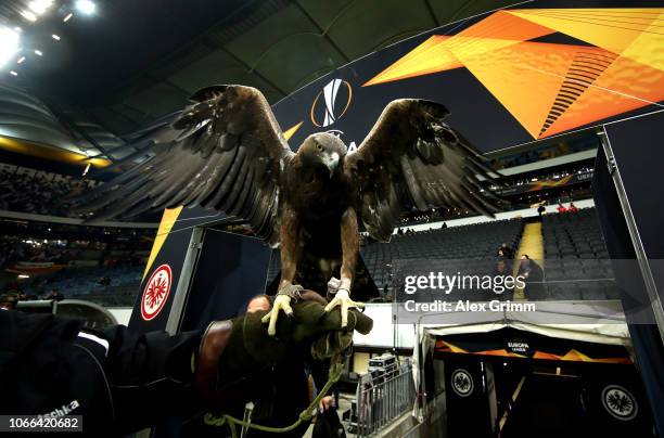 Attila the Eintracht Frankfurt mascot is seen pitchside prior to the UEFA Europa League Group H match between Eintracht Frankfurt and Olympique de...