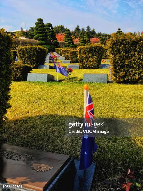 Australian Rural Cemetery 1,381 Australian Cemetery Stock Photos, High-Res Pictures, and Images ...