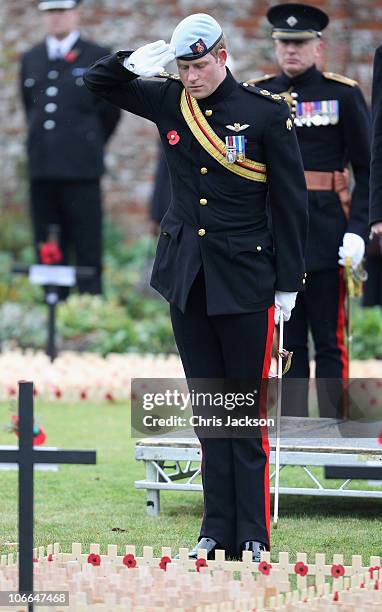 Prince Harry lays a poppy in memory of Jonathan Woodgate at the opening of The Royal British Legion Wootton Bassett Field of Remembrance in Lydiard...