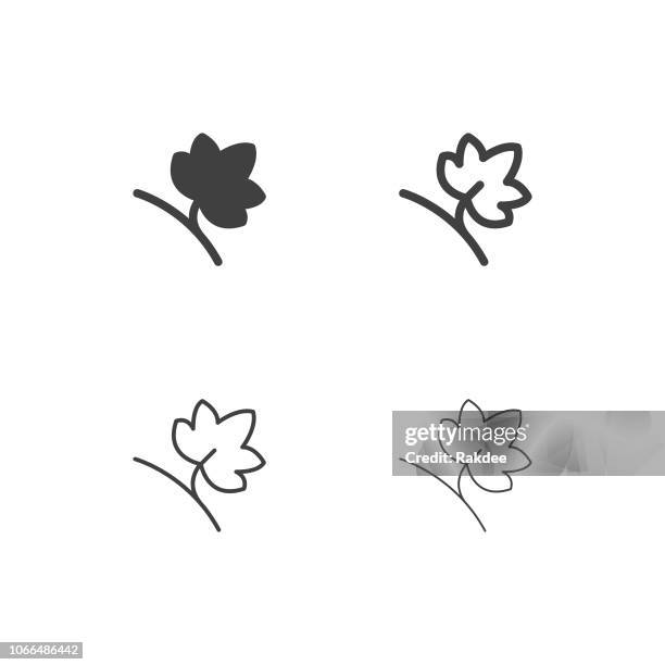 grape leaf icons - multi series - grape leaf stock illustrations