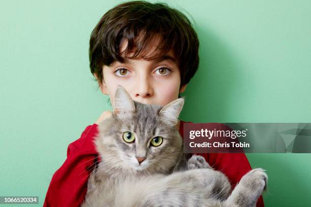 young boy holding cat and looking right into the camera - kid holding cat foto e immagini stock