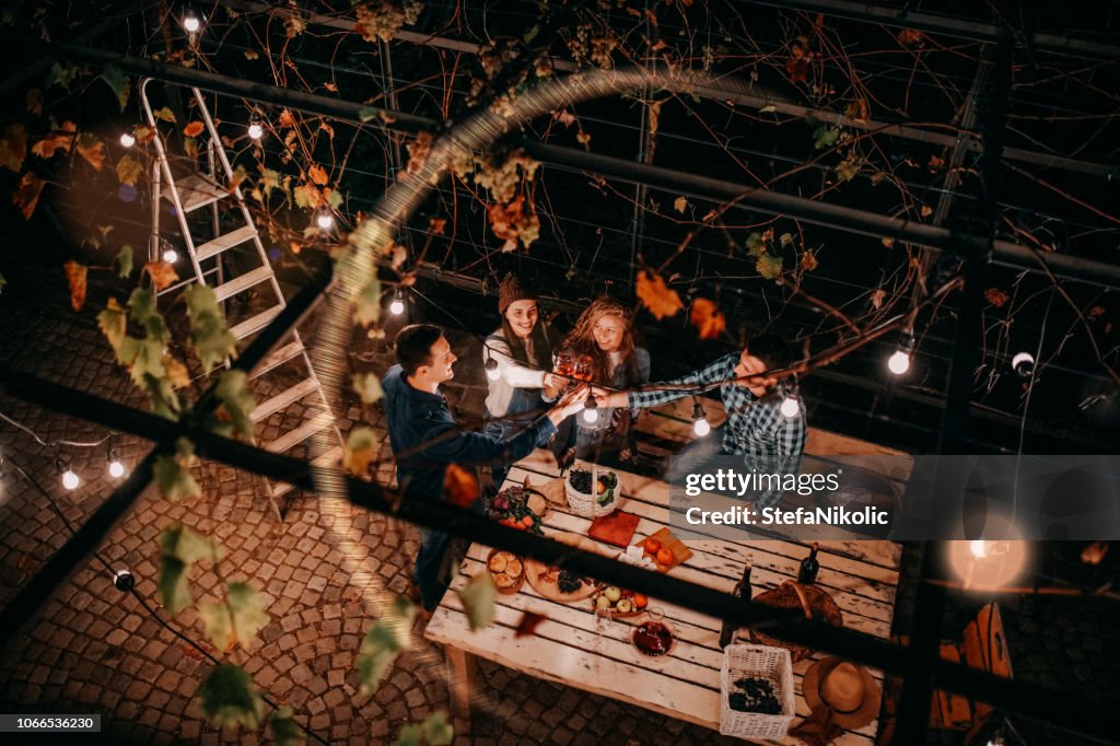 Friends tasting wine