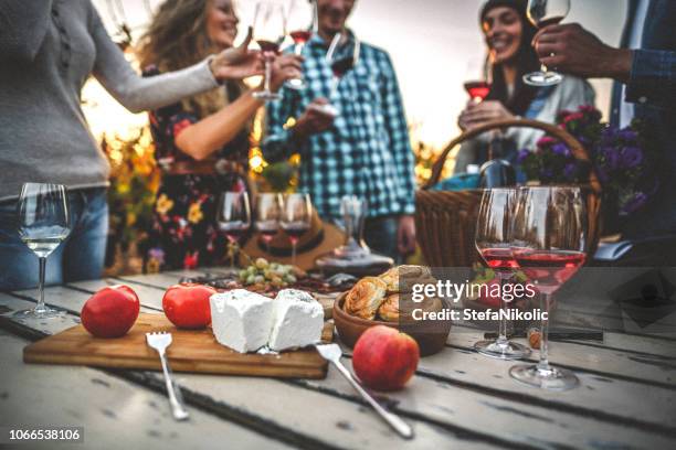 het drinken van wijn en wijnproeven in de wijngaard - wijn proeven stockfoto's en -beelden