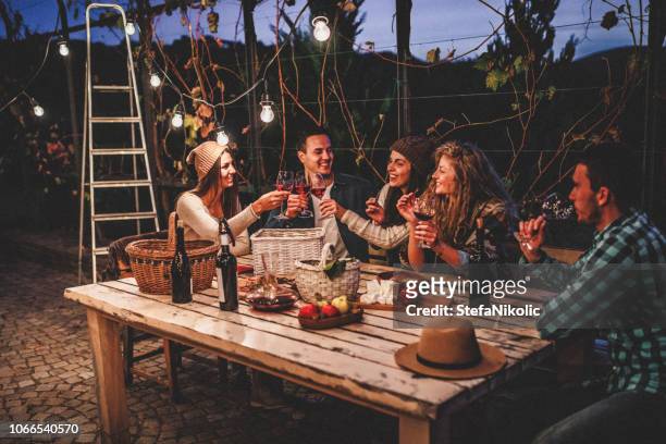young people enjoying wine - barbecue social gathering stock pictures, royalty-free photos & images