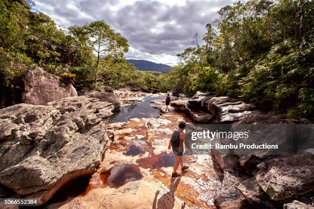 women making a trail inside a riverbed - bahia stockfoto's en -beelden