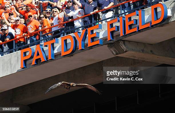 The War Eagle of the Auburn Tigers flies down to Pat Dye Field before the game against the LSU Tigers at Jordan-Hare Stadium on October 23, 2010 in...