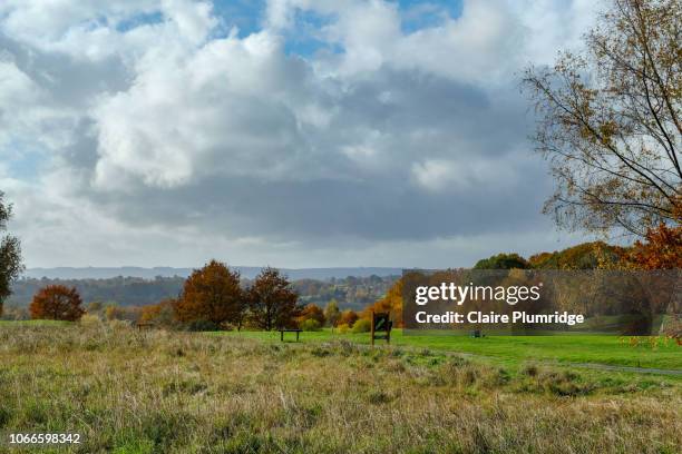 autumn colours, berkshire, uk - newbury england stock pictures, royalty-free photos & images